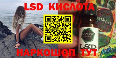 крисы Кулебаки