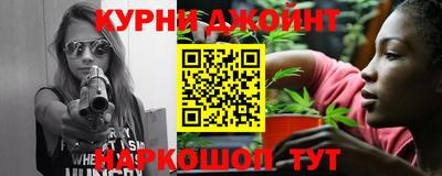 крисы Кулебаки