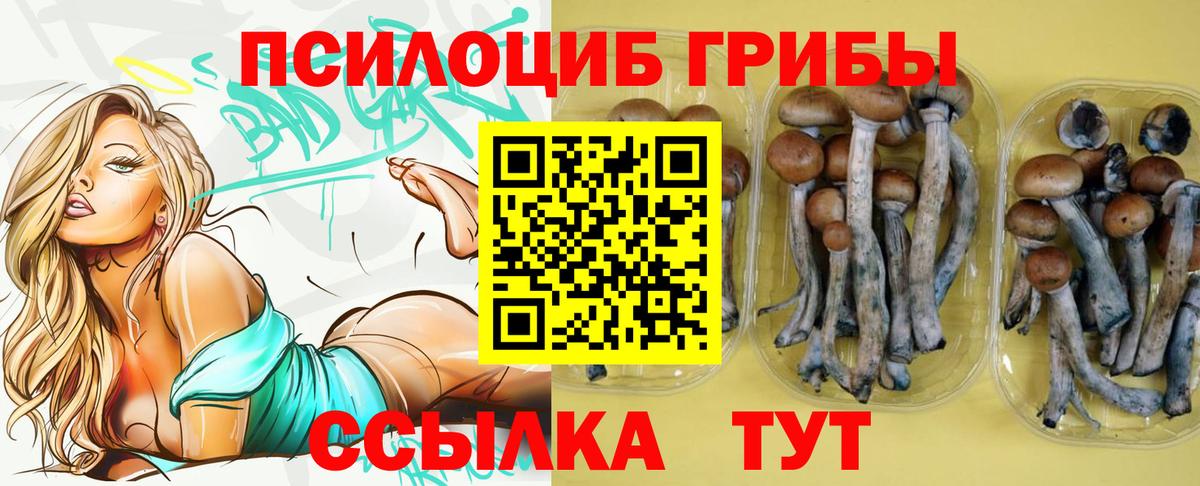 Галлюциногенные грибы ЛСД  цена наркотик  Верхняя Пышма  Вход с VPN 