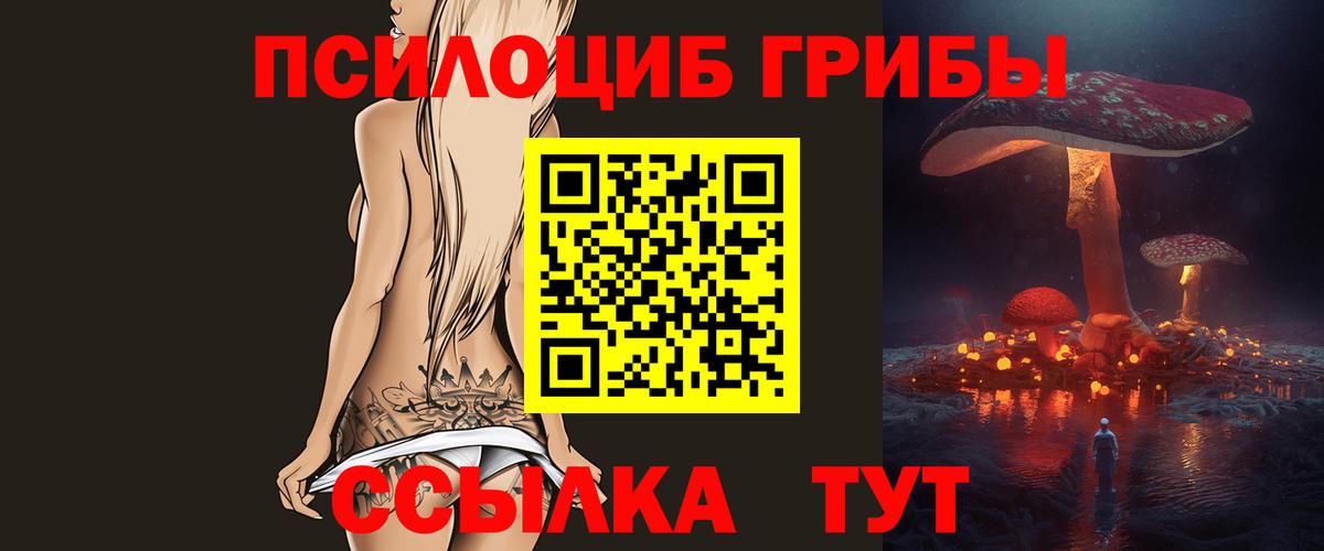 Псилоцибиновые грибы GOLDEN TEACHER Верхняя Пышма